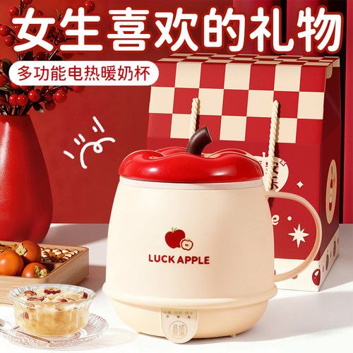 冬天高级感烧水杯办公室养生神器