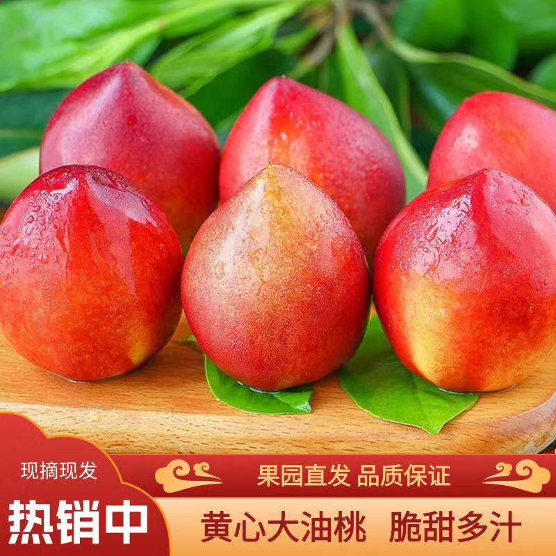 安徽砀山油桃现摘现发3斤新鲜批发整箱黄心当季油桃脆甜