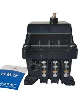 BL8050-10A/3P 20A 16A 40A 60A 防爆防腐断路器 BL8060-40/2/N/C