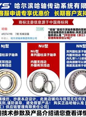 RYS 哈轴传动 RN NF N NU NJ NUP 308 309 310 E M EM 圆柱滚子