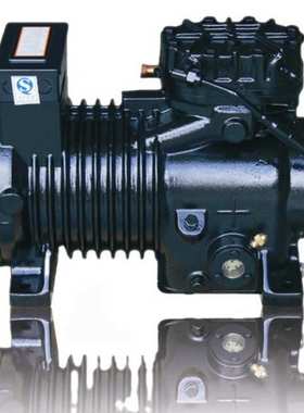 10P谷轮CA-1000 2CS-1000制冷压缩机S101-C S101A-C