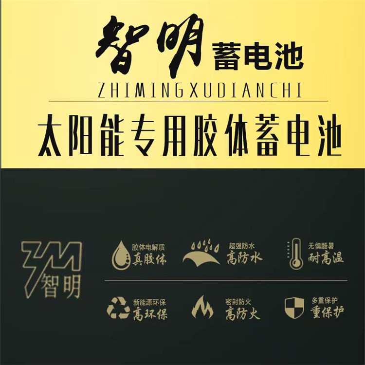 太阳能胶体蓄电池12v100ah长寿命12v200A光伏监控路灯免维护铅酸
