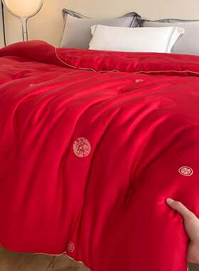 婚庆大豆纤维结婚被芯大红色绣花喜被加厚保暖春秋被送礼嫁妆婚被