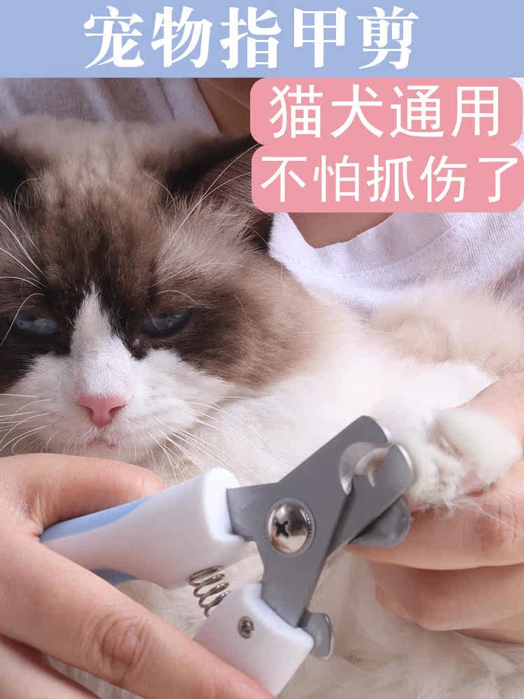猫咪专用指甲剪新手猫剪指甲神器宠物指甲刀指甲钳用猫爪子剪刀