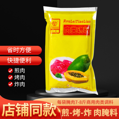 正品仁义肉类调料煎炸烤炖料东北烧烤腌肉腌制料嫩肉粉250克商用