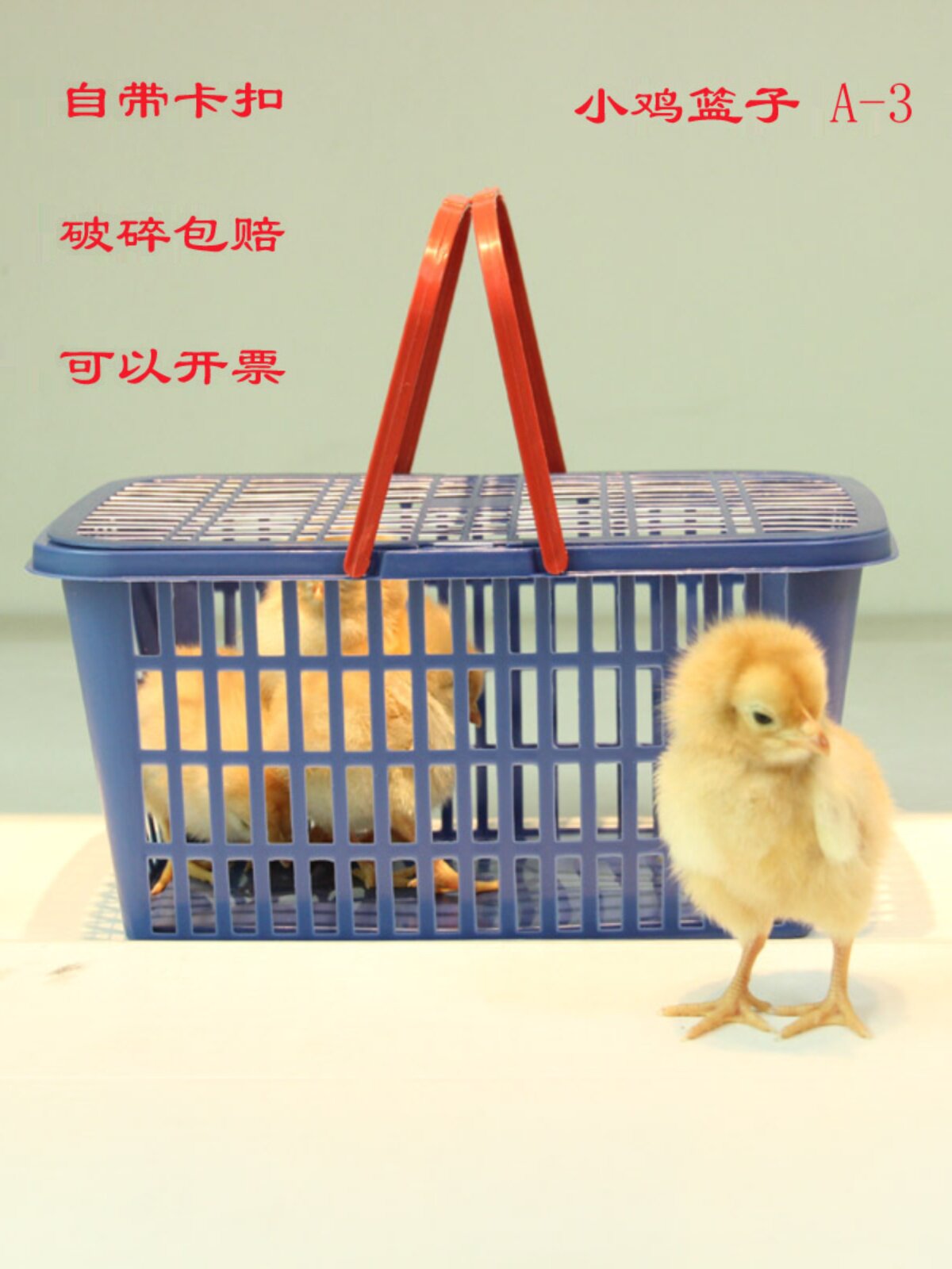 宠物小鸡小鸭篮集市地摊套圈仓鼠乌龟活体动物打包运输塑料筐包邮