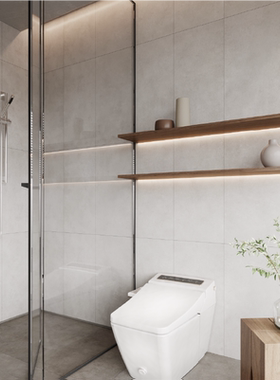 新中源  哑光素色侘寂风微水泥400*800瓷砖地砖墙砖地板砖XF48031