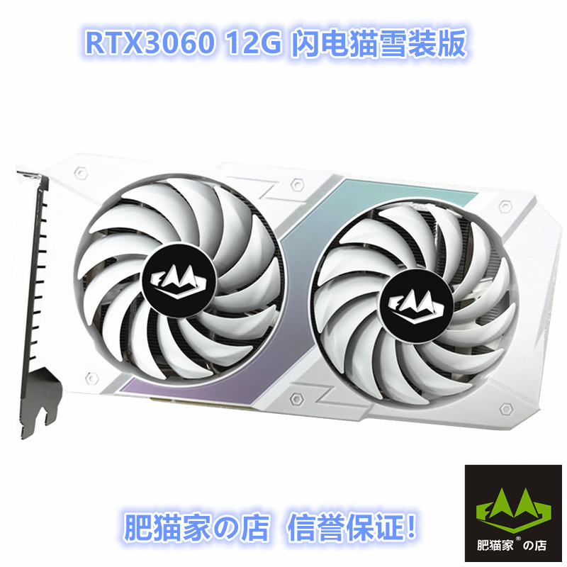 肥猫家全新RTX306012GAI绘画