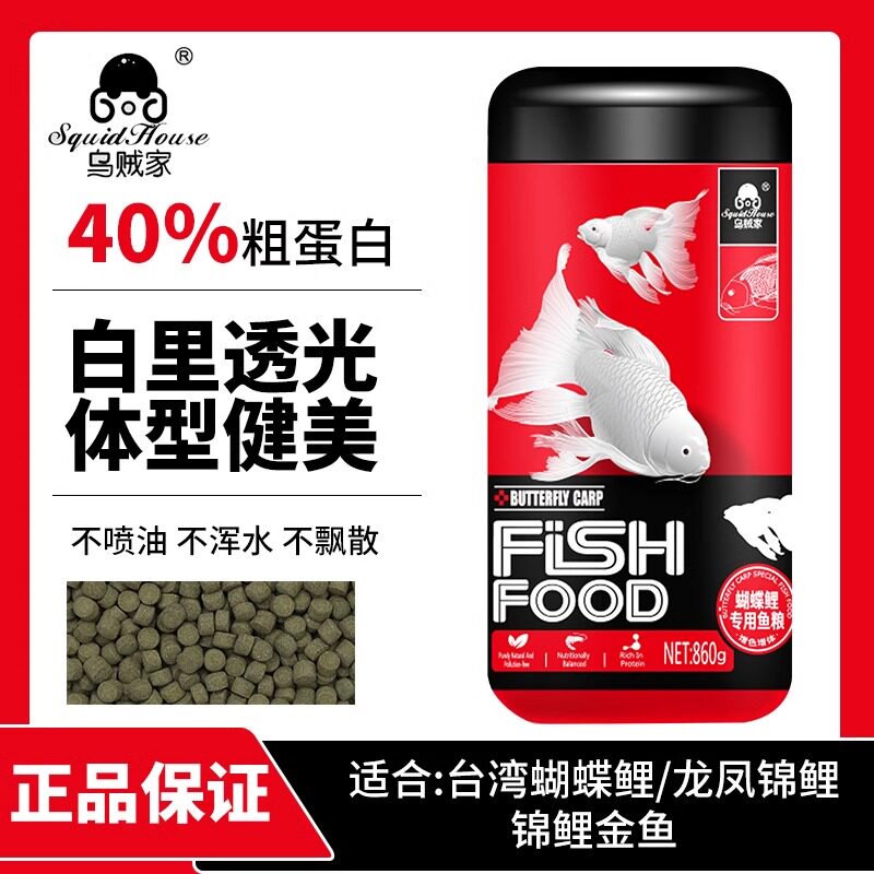 乌贼家蝴蝶鲤专用鱼粮