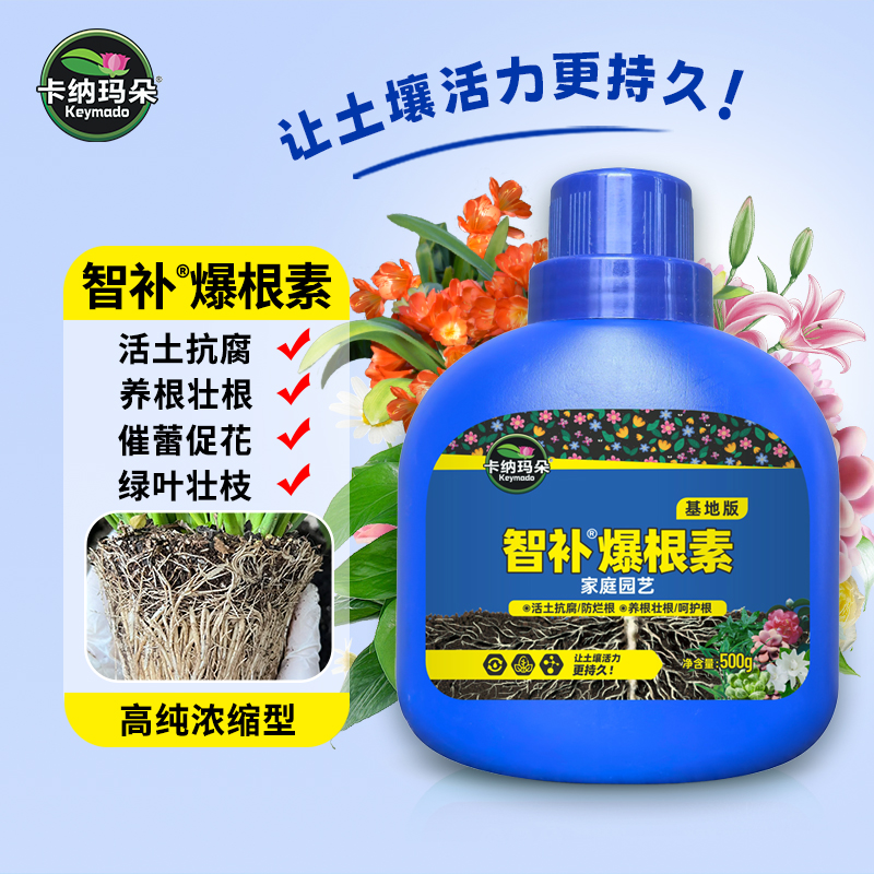 卡纳玛朵智补爆根素浓缩型
