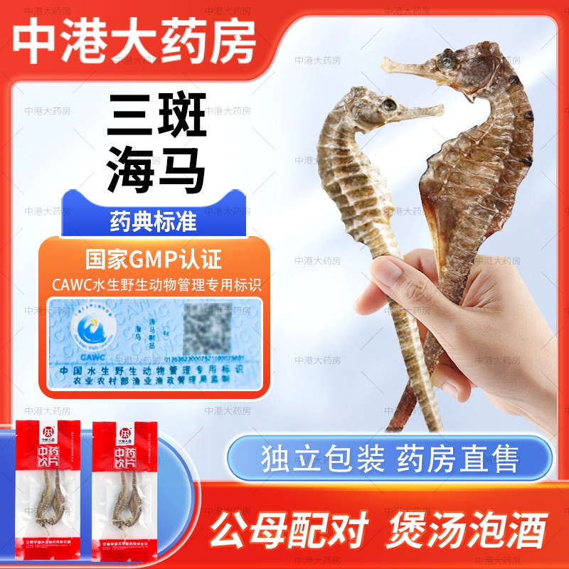 海马中药材煲汤泡酒营养佳品