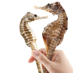 九州天润 三斑海马 中药材正品一公一母配对煲汤料海马中药材泡酒