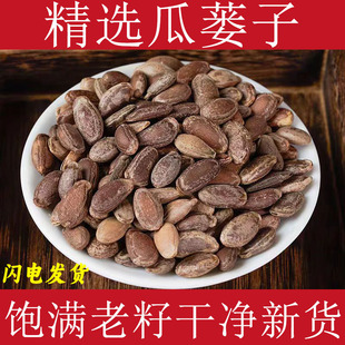 瓜蒌子材新货栝楼仁瓜蒌籽瓜蒌子蒌瓜子吊瓜子瓜蒌籽仁干货真货