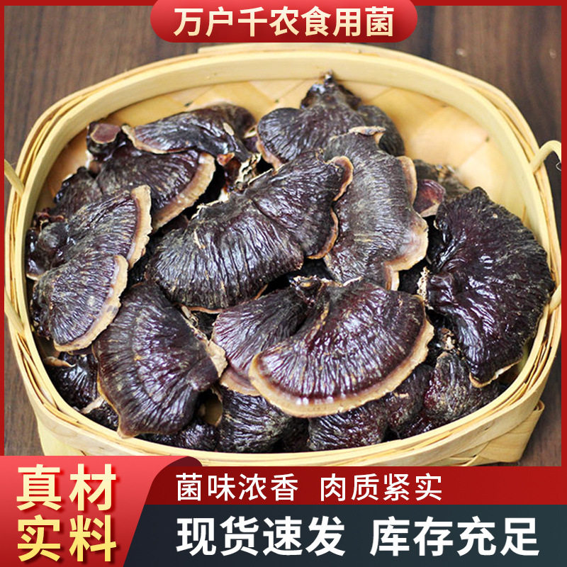 灵芝山东现货金边灵芝材小金边灵芝保健真货
