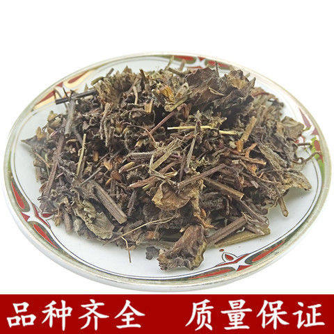 材鼠尾草 新货中草药 农家采摘鼠尾草 坑苏 紫花丹 包邮真货