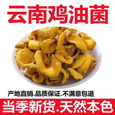 正宗云南精选鸡油菌干货250g500g黄金菇榆黄菇食用菌菇香菇包邮