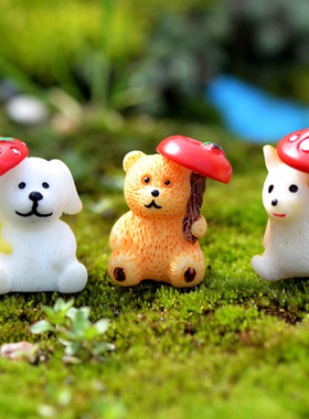 微景观可爱风多肉盆栽手工小摆件