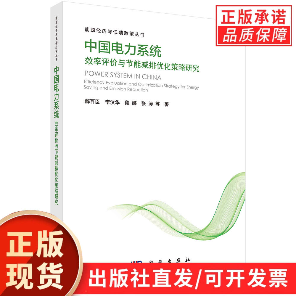 【现货正版】中国电力系统效率评价与节能减排优化策略研究 解百臣 等著 科学出版社 能源电力领域学术著作 电网效率提升研究