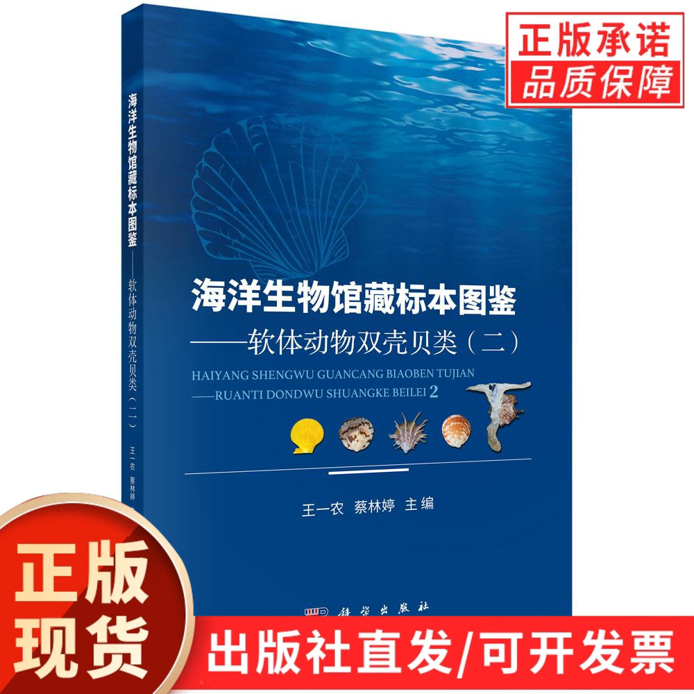 海洋生物馆藏标本图鉴——软体动物双壳贝类(二)