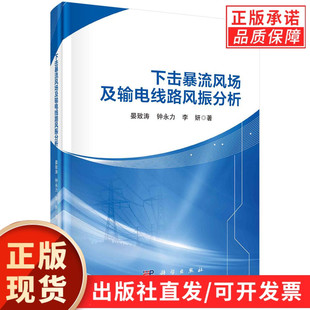 下击暴流风场及输电线路风振分析