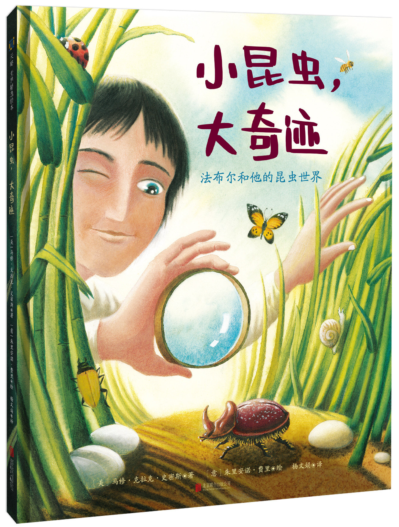 【现货正版】小昆虫,大奇迹:法布尔和他的昆虫世界 儿童绘本图画书