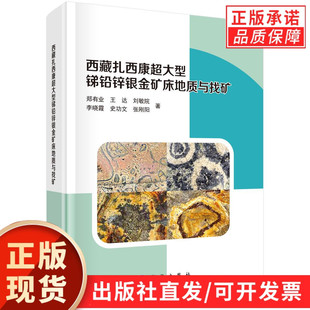西藏扎西康超大型锑铅锌银金矿床地质与找矿