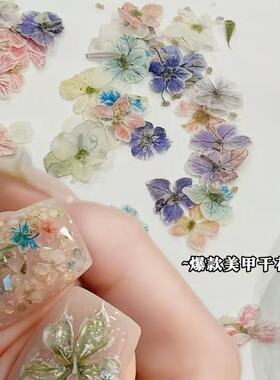 日系ins风美甲迷你干花