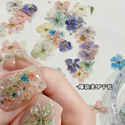 日系ins风美甲迷你干花