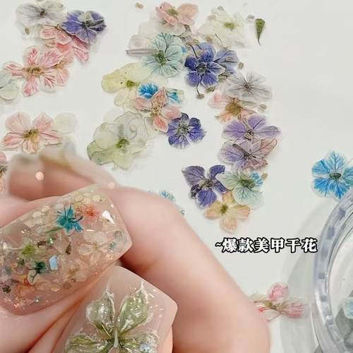 日系ins风美甲迷你干花