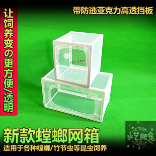 包邮螳螂饲养盒 网箱 竹节虫卵鞘孵化饲养箱 昆虫网笼 蝴蝶羽化盒