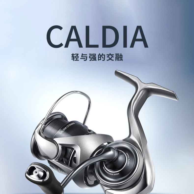 DAIWA/达亿瓦泰国纺车轮轻