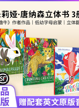 英文原版 朱莉娅·唐纳森 立体翻翻书 Pan Macmillan出版 Colours, Colours Everywhere 4-6岁儿童英语启蒙读物英文绘本