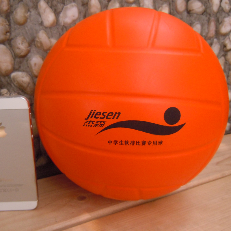 Ballon de volley - Ref 2010996 Image 5
