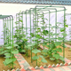 爬藤架葡萄黄瓜豆角架种菜花支架庭院园艺花卉植物支撑杆西红柿架