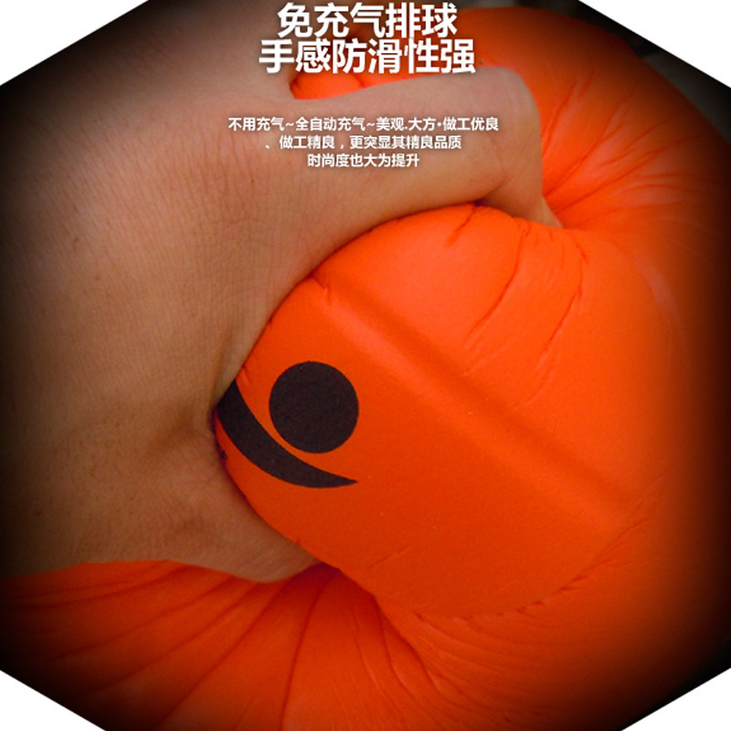 Ballon de volley-ball - Ref 2012243 Image 3