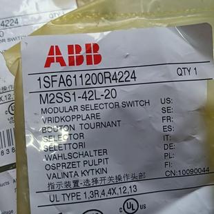 42L 咨询 检测M2SS1