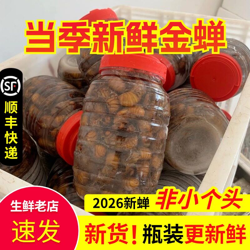 【新货】2026新鲜金蝉知了猴金蝉爬叉猴100只鸡拉猴唐僧肉包邮