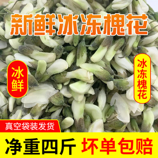 【顺丰】2026新鲜槐花冰冻洋槐花骨朵花苞槐米野菜冰鲜发货产地直