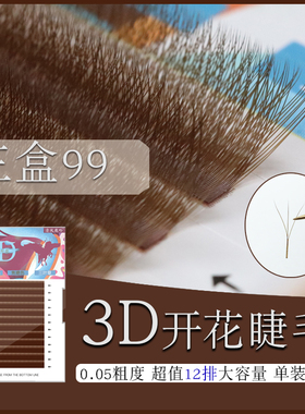 三叶草焦糖色嫁接睫毛清风鹿吟
