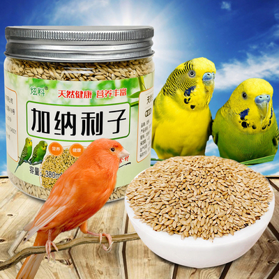 炫料白尖金丝雀玉鸟食