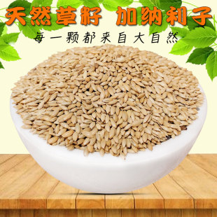 进口加纳利子鹦鹉鸟食文鸟玉鸟十姐妹珍珠油尖粟白尖粟草庐籽鸟粮
