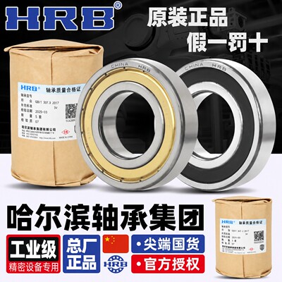 HRB 62206 2 RZ 180506 哈尔滨深沟球轴承内径30外径62厚度高20m