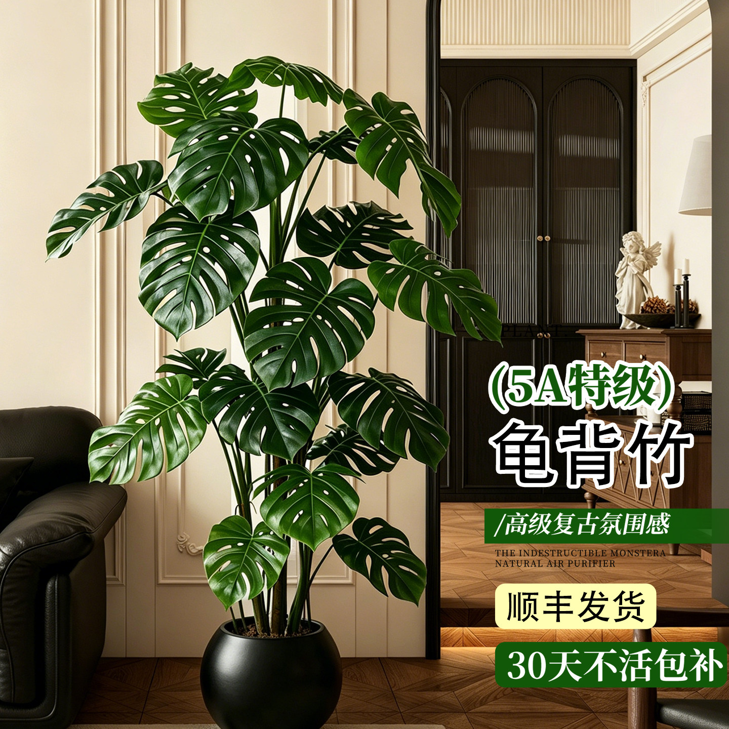 龟背竹客厅大盆栽开背老桩大叶落地绿植高端大气网红懒人好养四季图片