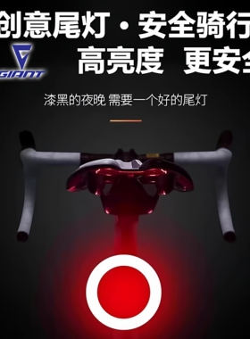 适用于捷安特自行车夜骑灯创意尾灯警示灯配件atx660xtc800atx830