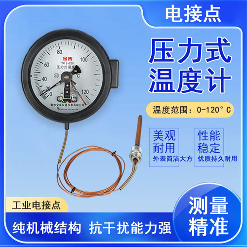 高精度电接点压力式温计变