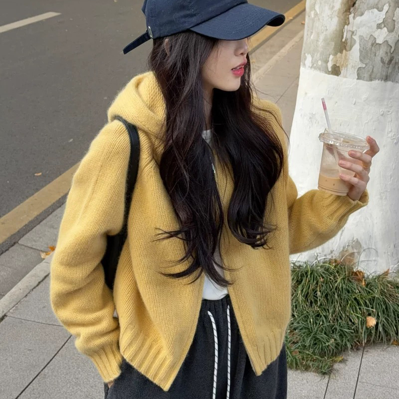 AT THE BRUSH-羊毛韩系慵懒拉链帽衫保暖毛衣（含37.4绵羊毛）551