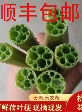 新鲜荷叶杆莲蓬杆500g