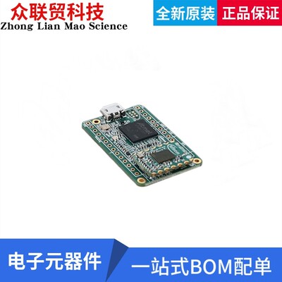 DEMOBGT60TR13CTOBO1 开发板 EVAL BOARD FOR BGT60TR13C
