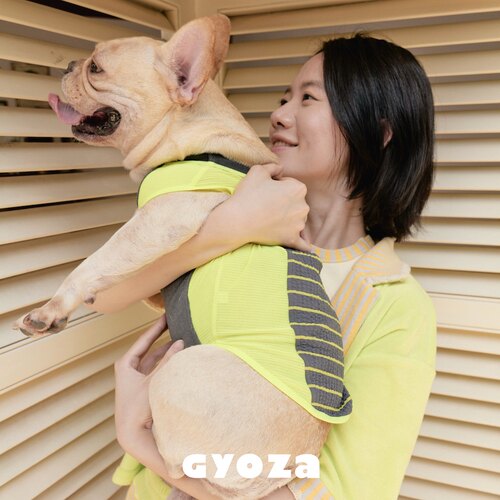 GYOZA条纹户外网眼小狗运动服