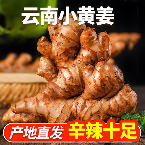 云南罗平2年老姜现挖月子姜